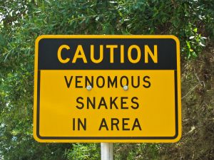 caution-snakes-sign-300x225