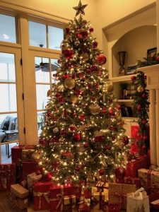 christmas-tree-photo-225x300